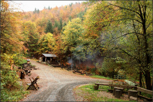 Lesní bar na podzim